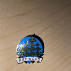 Redwood Enamel Lapel Pin Metal Vintage